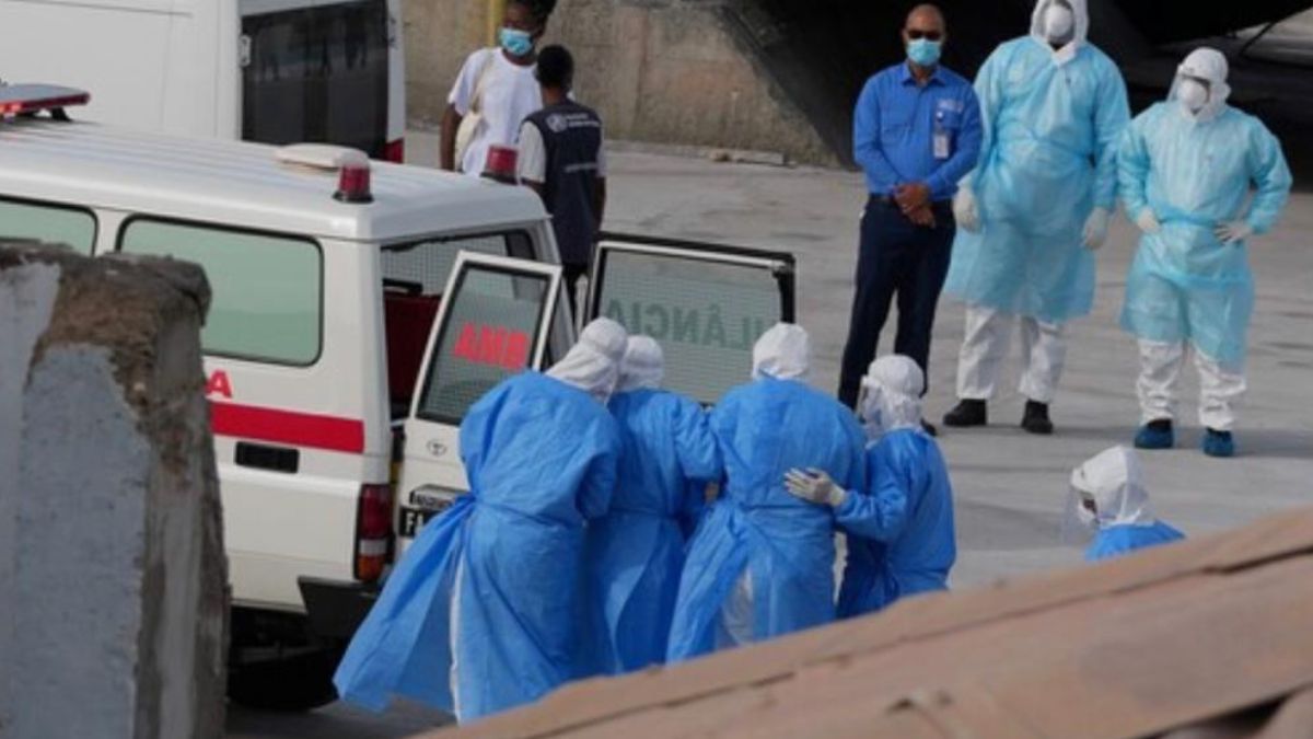Hantavirus: el Ministerio de Salud tomará muestras de roedores en Ushuaia para investigar los casos que se dieron en el crucero