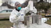 “No detectamos el colilargo magallánico que buscábamos”