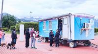 La Municipalidad de Ushuaia brinda recomendaciones para prevenir gastroenteritis en caninos