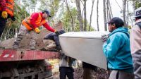 Bajaron en un 50% los pedidos de vecinos al área de Ambiente de la Municipalidad 