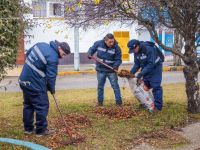 Continúan los trabajos de limpieza y mantenimiento en distintos espacios públicos de Río Grande
