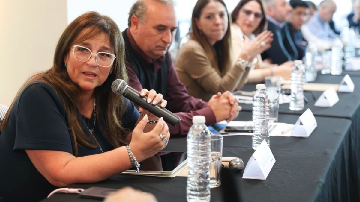 Castillo planteó una mirada federal para la planificación energética y advirtió sobre el impacto de las tarifas en el interior