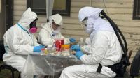 La variante de hantavirus vinculada al crucero MV Hondius no circula en Ushuaia 