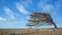 Alertas meteorológicas vigentes por vientos fuertes y nevadas en la provincia