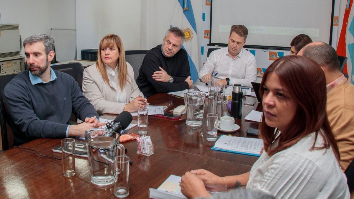 La Comisión N.º 1 emitió dictamen para los proyectos de Bibliotecas Populares y Espíritu Antártico