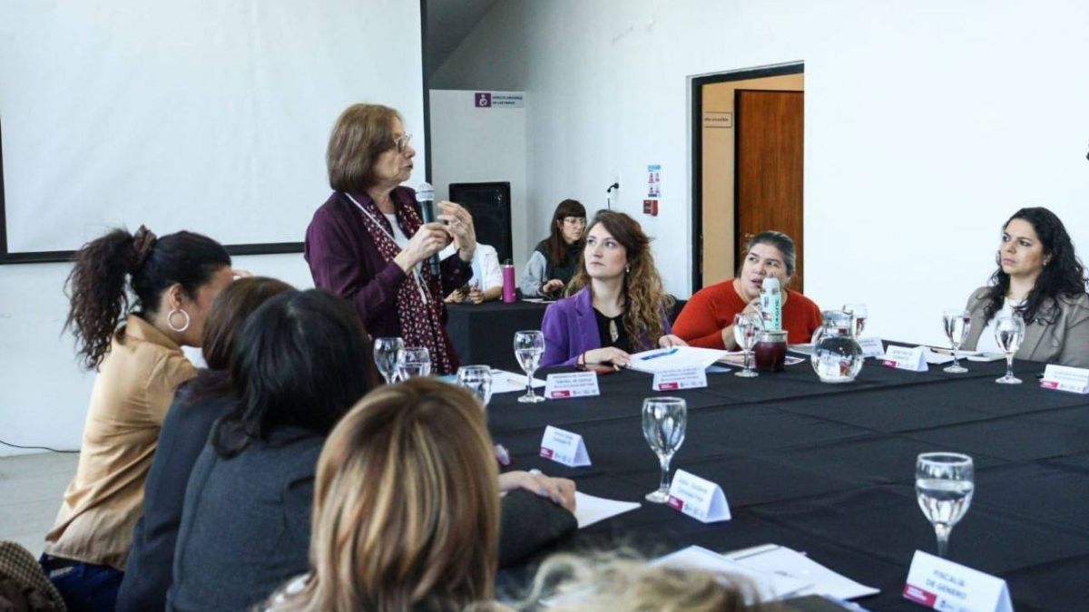  Battaini impulsó a fortalecer el trabajo permanente del Consejo Consultivo de la Mujer 