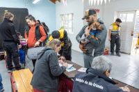 Nueva jornada gratuita de vacunación antirrábica, colocación de chip y adopción responsable 