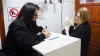Más de 140 mascotas fueron vacunadas en una nueva jornada de salud animal 