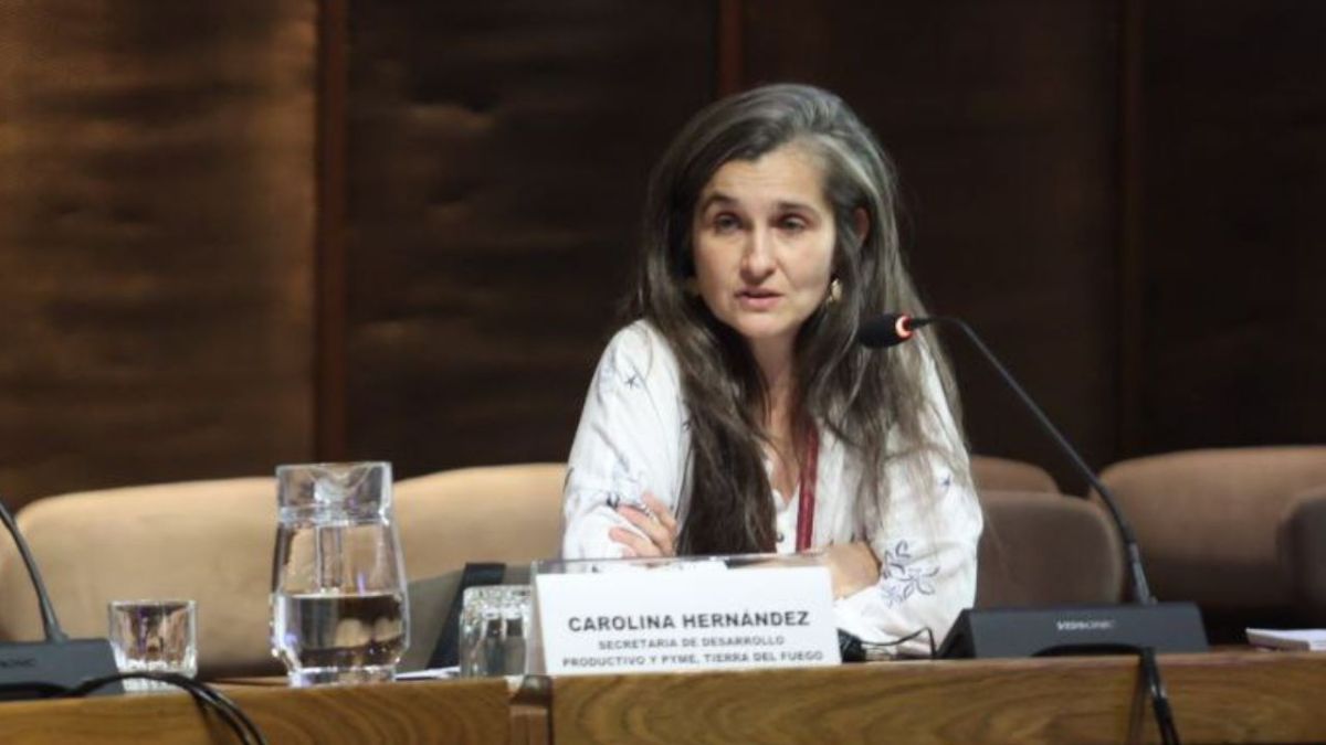 “Este programa busca formar las capacidades y ayudar a las distintas empresas a usar las herramientas disponibles”
