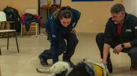 El Municipio de Río Grande capacitó a bomberos voluntarios en sujeción de animales y primeros auxilios veterinarios