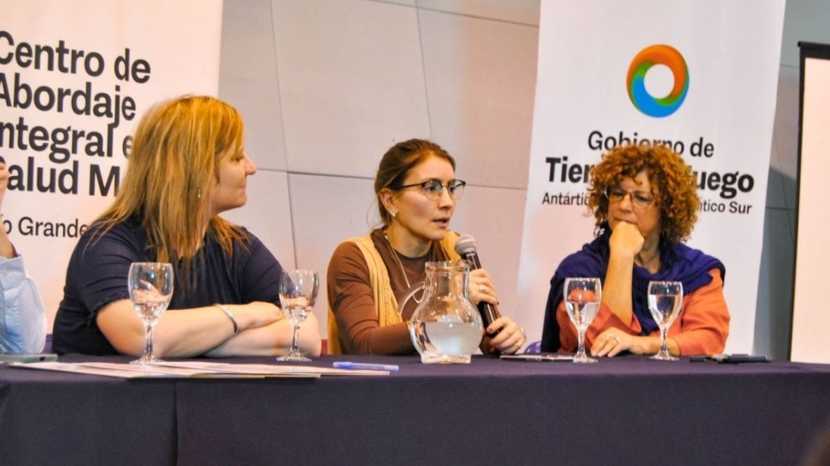 La Provincia articula estrategias intersectoriales y clínicas para abordar el suicidio