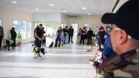 El Municipio realizará una jornada para promover la tenencia responsable y el trabajo comunitario