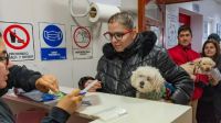 El Municipio realizó más de 250 intervenciones en la última jornada de Bienestar Animal