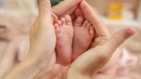 La Municipalidad de Ushuaia invita a participar del espacio “Dame la Mano y Criemos Juntos/as”