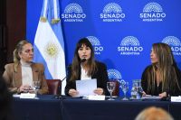 La legisladora Colazo fue designada Presidenta de la Comisión Federal de Cambio Climático