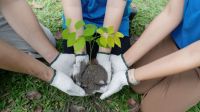 “La idea es vincular a los estudiantes, sus intereses y la agenda ambiental y climática”