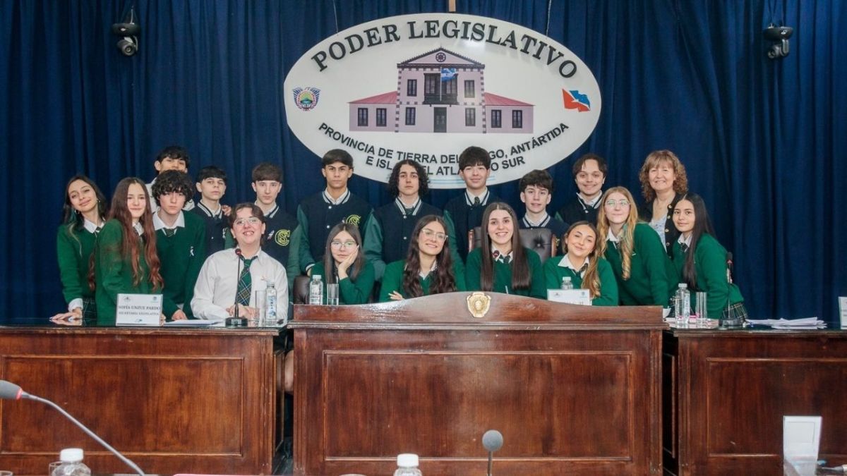 Estudiantes del Colegio del Sur realizaron un simulacro de sesión especial