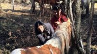 Realizaron tareas de captura, identificación y entrega de equinos a sus propietarios