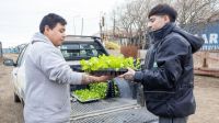 El Municipio abrió las inscripciones para la entrega de plantines 