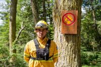 Nueva plataforma para consultar el riesgo de incendios