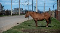 Dictaminaron sobre la regularización de tierras productivas en la Margen Sur