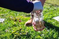 Recolectan muestras de materia fecal canina con el objetivo de estudiar la presencia de parásitos