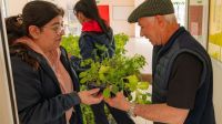 El Municipio de Río Grande entregará 50 mil plantines y abrirá nuevos cupos