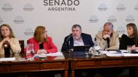 “Tener gas en Tierra del Fuego, y en otras provincias patagónicas, no es un lujo”